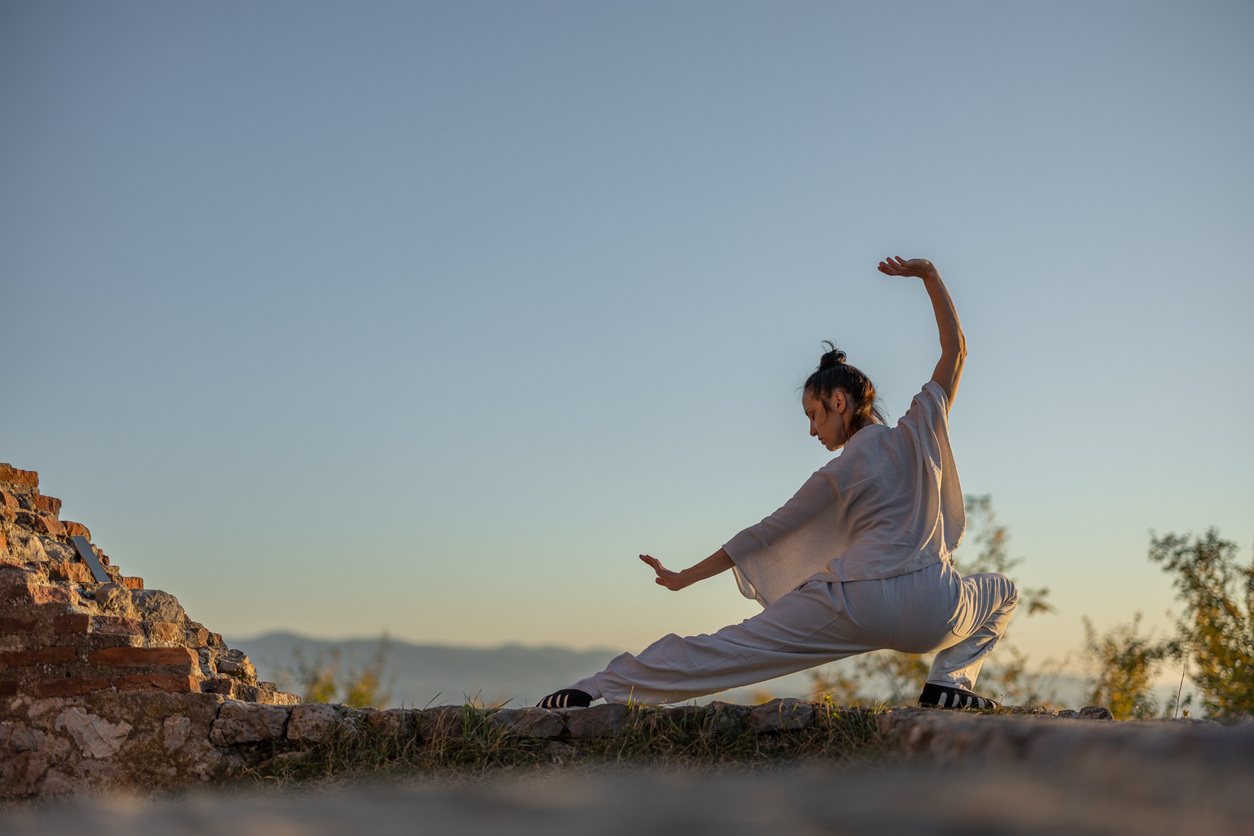 Yang Style Tai Chi (long form)